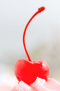 Close-up of hand holding strawberry