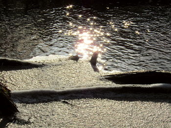 Shadow of water on beach