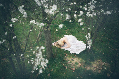 Woman with umbrella on tree