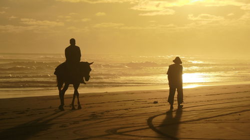 Rear view of silhouette men on beach against sky during sunset