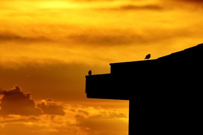 Low angle view of silhouette birds against orange sky