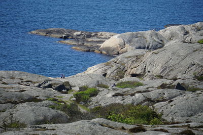 Coastal landskapet at marstrand