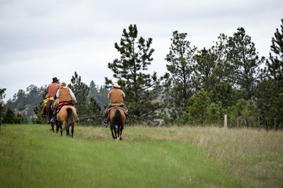 Rear view of people riding horse on grassy field
