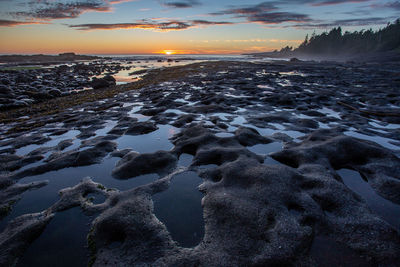 Sunset at botanical beach , port renfrew, bc, canada