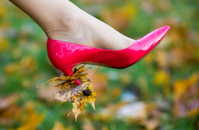 Close-up of a red shoe