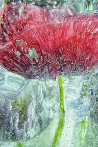 Close-up of bubbles in glass