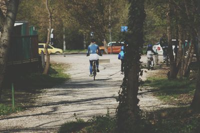 Rear view of woman cycling on road amidst trees