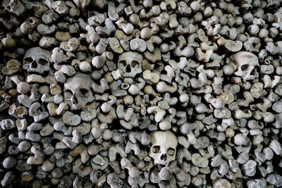 Full frame shot of bones and skulls