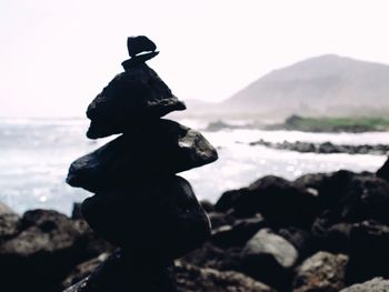 Close-up of bird perching on statue against sea