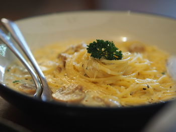 Close-up of meal served in bowl