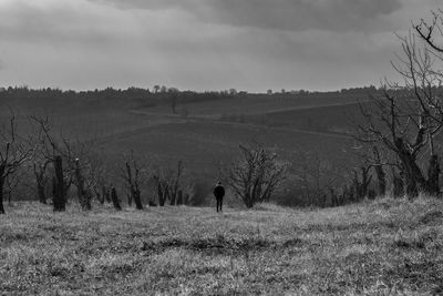 Rear view of man standing on field against sky