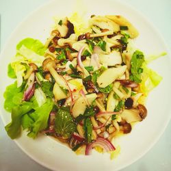 Close-up of food in plate