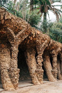 Close-up of tree trunk rock