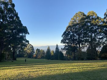 Scenic view of field against clear sky