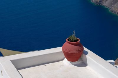 High angle view of potted plants by swimming pool