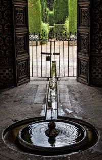 View of trees at home