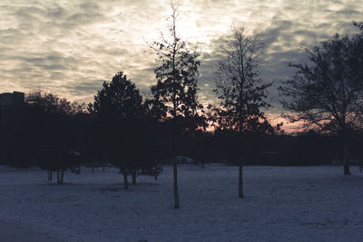 Scenic view of landscape against cloudy sky