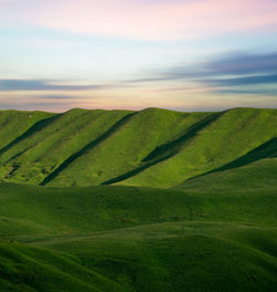 Scenic view of agricultural field against sky during sunset