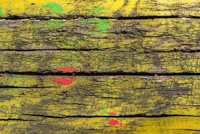 Old wood of a tree painted yellow