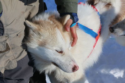 Low section of man with dog