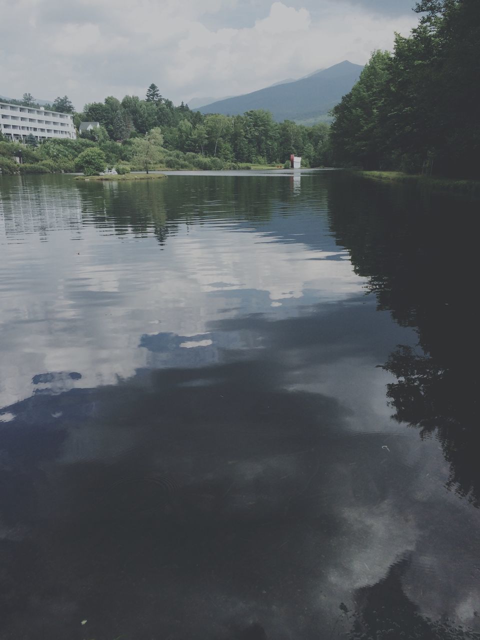 water, reflection, lake, sky, waterfront, tree, tranquility, river, tranquil scene, cloud - sky, scenics, nature, beauty in nature, standing water, cloud, outdoors, calm, no people, mountain, day