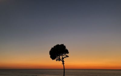 Silhouette tree by sea against sky during sunset