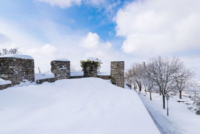 Snow covered land and trees against sky