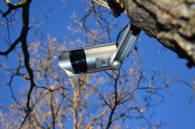 Low angle view of camera on tree against sky