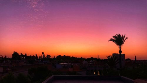 Silhouette palm trees against sky during sunset