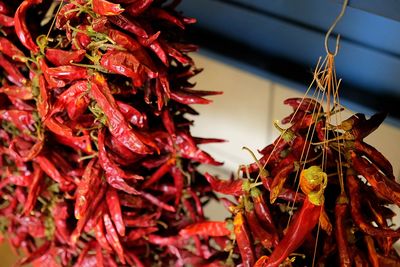 Close-up of dry red chili peppers for sale at street market