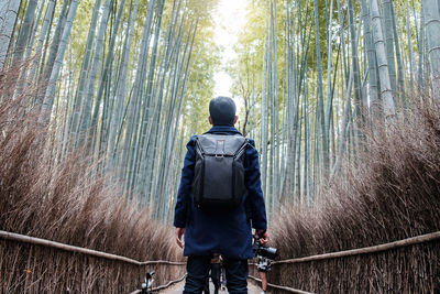 Rear view of man walking on walkway in forest