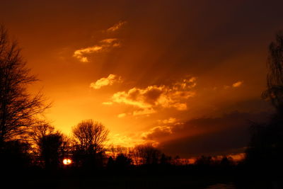 Silhouette of trees at sunset