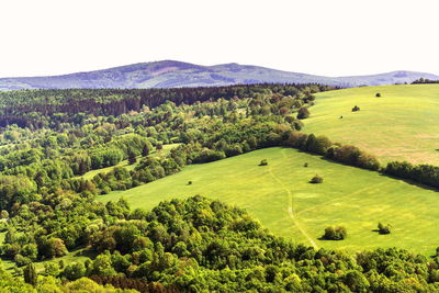 Scenic view of field against clear sky