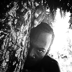 Close-up of tree trunk