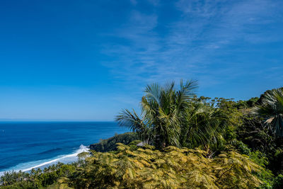 Scenic view of sea against blue sky