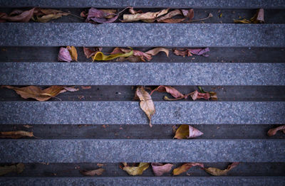 High angle view of leaves fallen on staircase