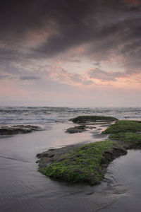 Scenic view of sea against sky during sunset