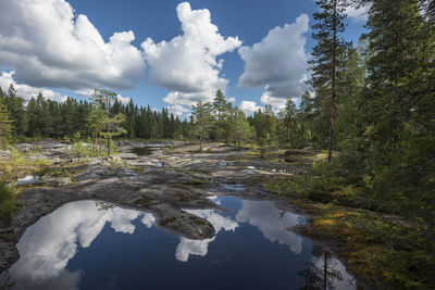 Reflection of trees in water against sky