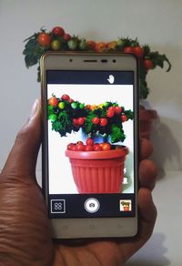 Close-up of man holding fruit and mobile phone