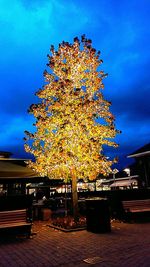 Low angle view of illuminated street light against sky