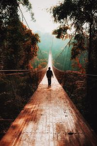 Rear view of woman walking on footbridge in forest