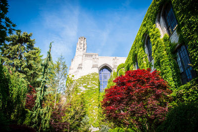 Low angle view of trees and plants against sky