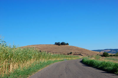 Road amidst agricultural field against clear blue sky