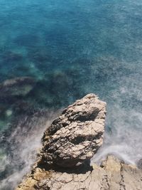 High angle view of rock formation in sea