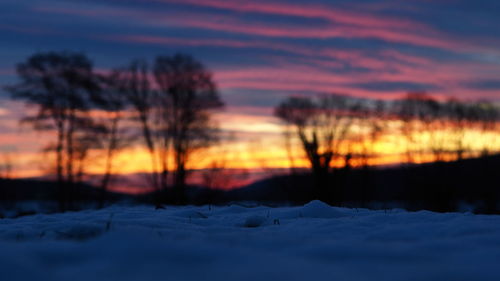 Silhouette trees on snow covered landscape