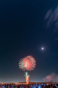 Low angle view of firework display at night