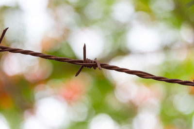 Close-up of barbed wire fence