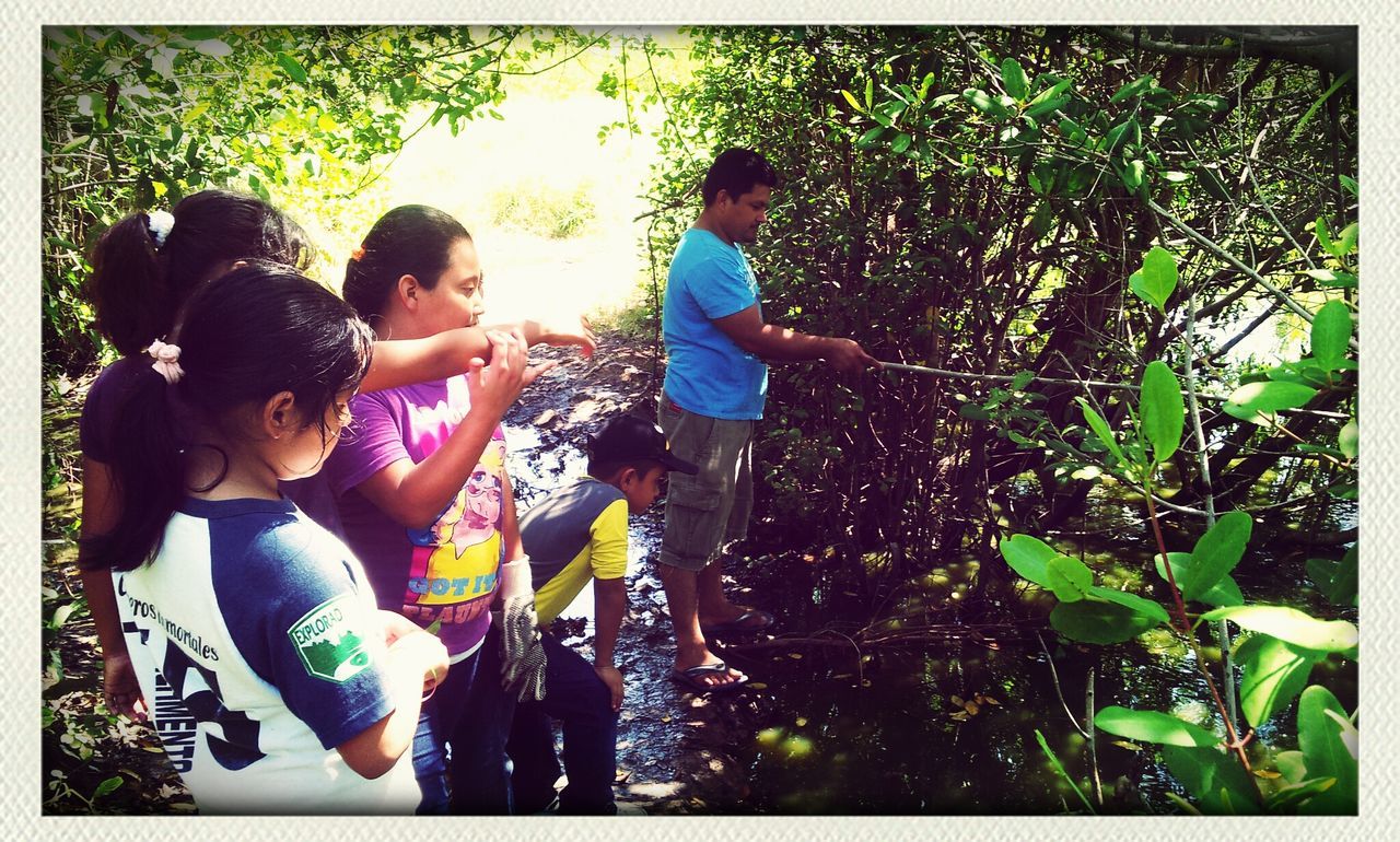 Exploradores del Rey