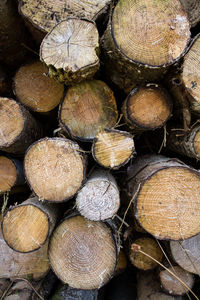 Full frame shot of logs or firewood with copy space 