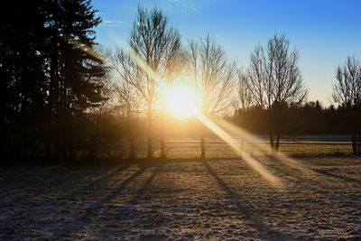 Sunlight streaming through trees on snowy field during sunset